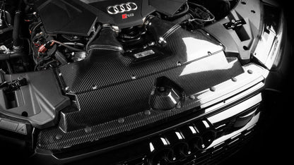 IE Carbon Fiber Intake System - Audi / C8 RS6 / RS7